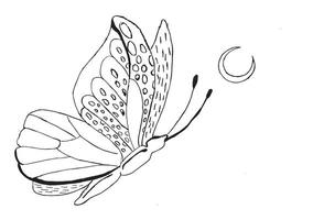Elegant black and white sketch of a butterfly flying near a crescent moon perfect for design art themes and symbolic creative projects vector