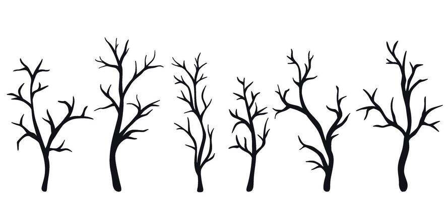 Silhouette of bare leafless trees set