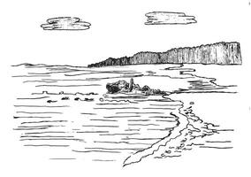 Black and white coastal scene with detailed shoreline waves driftwood and distant forest ideal for art design and nature themed projects vector