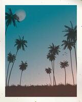 Old photograph of silhouette coconut palm trees and the moon in the twilight sky background with stained effect graphic illustration have blank space. vector