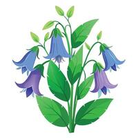 Intricate Details of a Bellflower Plant in a Natural Setting vector