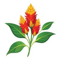 Intricate Details of a Celosia Plant in a Natural Setting vector