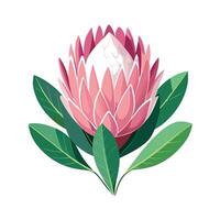 Intricate Details of a Giant Protea Flower in a Natural Setting vector