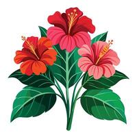 Beautiful Hibiscus Plant with Large Flowers and Leaves Isollated on a White Background vector