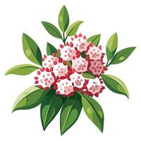Intricate Details of a Mountain Laurel in a Natural Setting vector