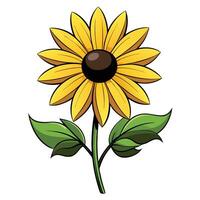 Detailed Illustration of a Black-Eyed Susan Flower with Orange Petals vector