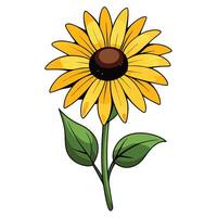 Black-Eyed Susan Flower with Red Petals and Long Stems vector