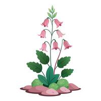 Coral Bells Plant with Yellow Flowers and Long Stems vector