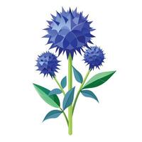 Detailed Illustration of a Globe Thistle Plant with White Flowers vector