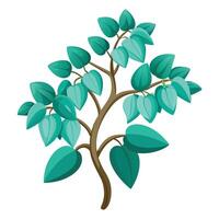 Intricate Details of a Jade Vine Plant in a Natural Setting vector