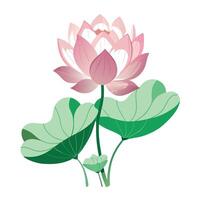 Botanical Illustration of a Lotus Plant in Full Bloom in a Natural Setting vector