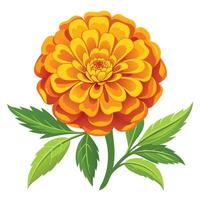 Vibrant Marigold Flower with Delicate Petals and Leaves in a Natural Setting vector