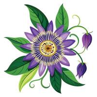 Intricate Details of a Passionflower Vine in a Natural Setting with Wildflowers and Butterflies in a Garden with a Pond and a Fountain vector