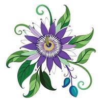 Beautiful Passionflower Vine with Delicate Flowers and Leaves in a Natural Setting with a Trellis vector