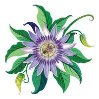 Intricate Details of a Passionflower Vine in a Natural Setting with Wildflowers and Butterflies in a Garden with a Pond, a Bridge, and a Fountain vector