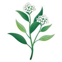 Intricate Details of a Pearly Everlasting in a Natural Setting with Wildflowers and Butterflies vector