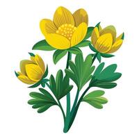Winter Aconite Flower with Purple Petals and Green Leaves in a Garden Setting vector