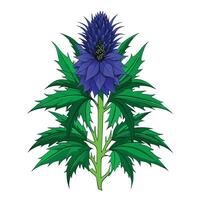 Wolfsbane Flower with Yellow Petals and Green Leaves in a Garden Setting vector