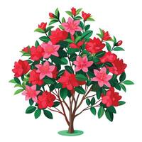 Vibrant Azalea Bush with Brightly Colored Flowers and Leaves in a Natural Setting vector
