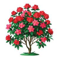 Botanical Illustration of an Azalea Bush in Full Bloom with Green Leaves and Stems vector