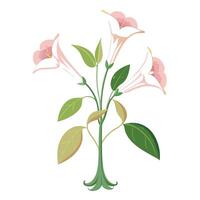 Botanical Rendering of a Belladonna Lily in Full Bloom with Green Leaves and Stems vector
