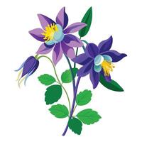 Vibrant Columbine Plant with Brightly Colored Flowers and Leaves in a Natural Setting vector