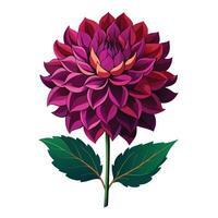 Intricate Details of a Dahlia Plant in a Natural Setting with Wildflowers and Butterflies Isollated on a White Background vector