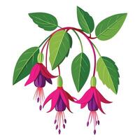 Intricate Details of a Fuchsia Plant in a Natural Setting with Wildflowers and Butterflies Isollated on a White Background vector