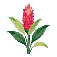 Intricate Details of a Ginger Flower Plant in a Natural Setting with Wildflowers and Butterflies vector