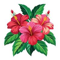 Botanical Rendering of a Hibiscus Plant in Full Bloom with Green Leaves and Stems vector