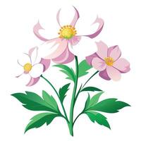 Botanical Rendering of a Japanese Anemone Plant in Full Bloom with Green Leaves and Stems vector