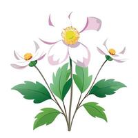 Vibrant Japanese Anemone Plant with Brightly Colored Flowers and Leaves in a Natural Setting vector