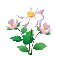 Beautiful Japanese Anemone Plant with Delicate Flowers and Leaves vector