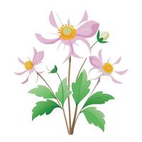 Intricate Details of a Japanese Anemone Plant in a Natural Setting with Wildflowers and Butterflies vector