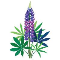 Intricate Details of a Lupine Flower in a Natural Setting with Wildflowers and Butterflies vector