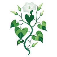 Vibrant Moonflower Vine with Brightly Colored Flowers and Leaves in a Natural Setting Isollated on a White Background vector