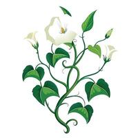 Intricate Details of a Moonflower Vine in a Natural Setting with Wildflowers and Butterflies Isollated on a White Background vector