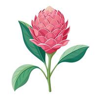Pink Torch Ginger Flower with Yellow Petals and Green Leaves in a Garden Setting vector