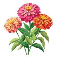Detailed Illustration of a Zinnia Plant with White Petals and Long Stems Isollated on a White Background vector