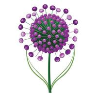 Botanical Rendering of an Allium Flower in Full Bloom with Green Leaves and Stems vector