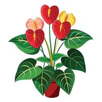 Anthurium Plant with Pink Flowers and Green Leaves in a Garden Setting vector