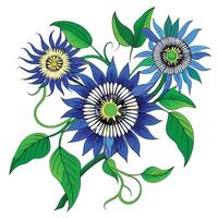 Blue Passionflower Vine with Purple Flowers and Green Leaves in a Garden Setting vector