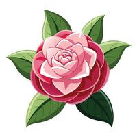 Detailed Illustration of a Camellia Plant with White Petals and Long Stems Isollated on a White Background vector
