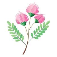 Vibrant Fairy Duster Plant with Brightly Colored Flowers and Leaves in a Natural Setting vector