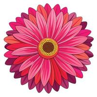 Botanical Depiction of a Gerbera Daisy in Full Bloom with Green Leaves and Stems vector