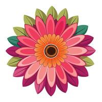 Vibrant Gerbera Daisy with Brightly Colored Flowers and Leaves in a Natural Setting vector