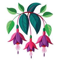 Intricate Details of a Fuchsia Plant in a Natural Setting with Wildflowers and Butterflies Isollated on White Background vector