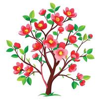 Intricate Details of a Japanese Quince Bush in a Natural Setting with Wildflowers and Butterflies vector