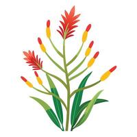 Intricate Details of a Kangaroo Paw Plant in a Natural Setting with Wildflowers and Butterflies Isollated on a White Background vector