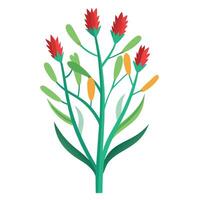 Vibrant Kangaroo Paw Plant with Brightly Colored Flowers and Leaves in a Natural Setting Isollated on a White Background vector